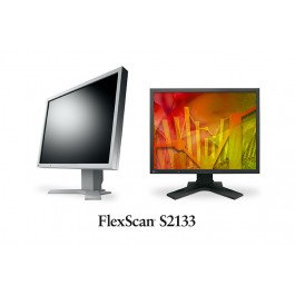 FlexScan S2133-GY siv, 21,3"/ 54cm
